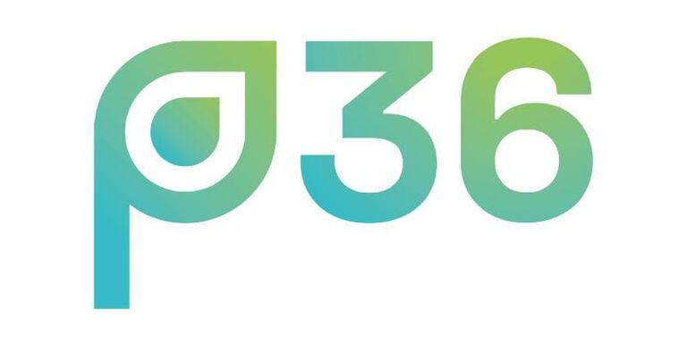 p36
