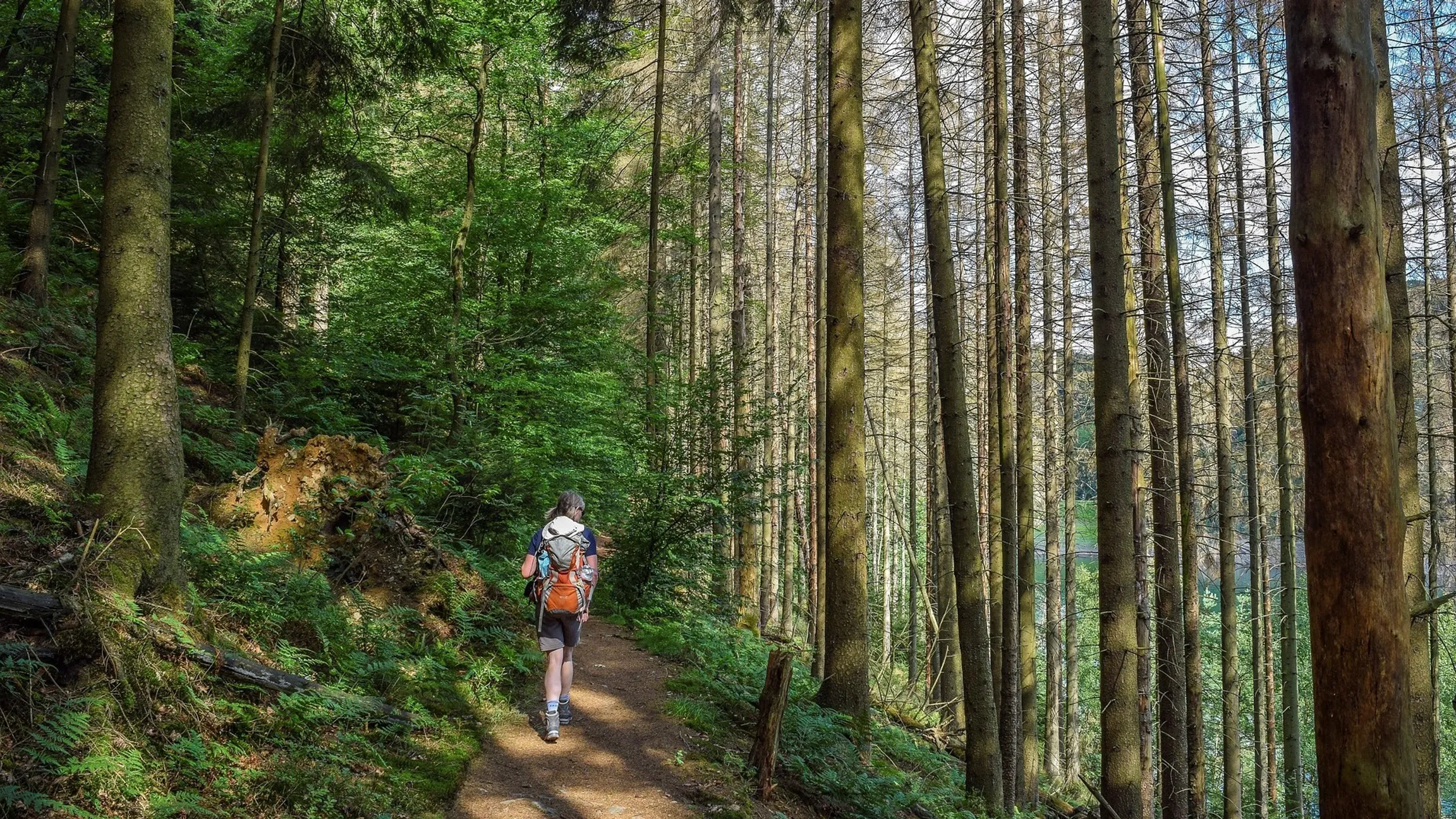 Ultrahiking