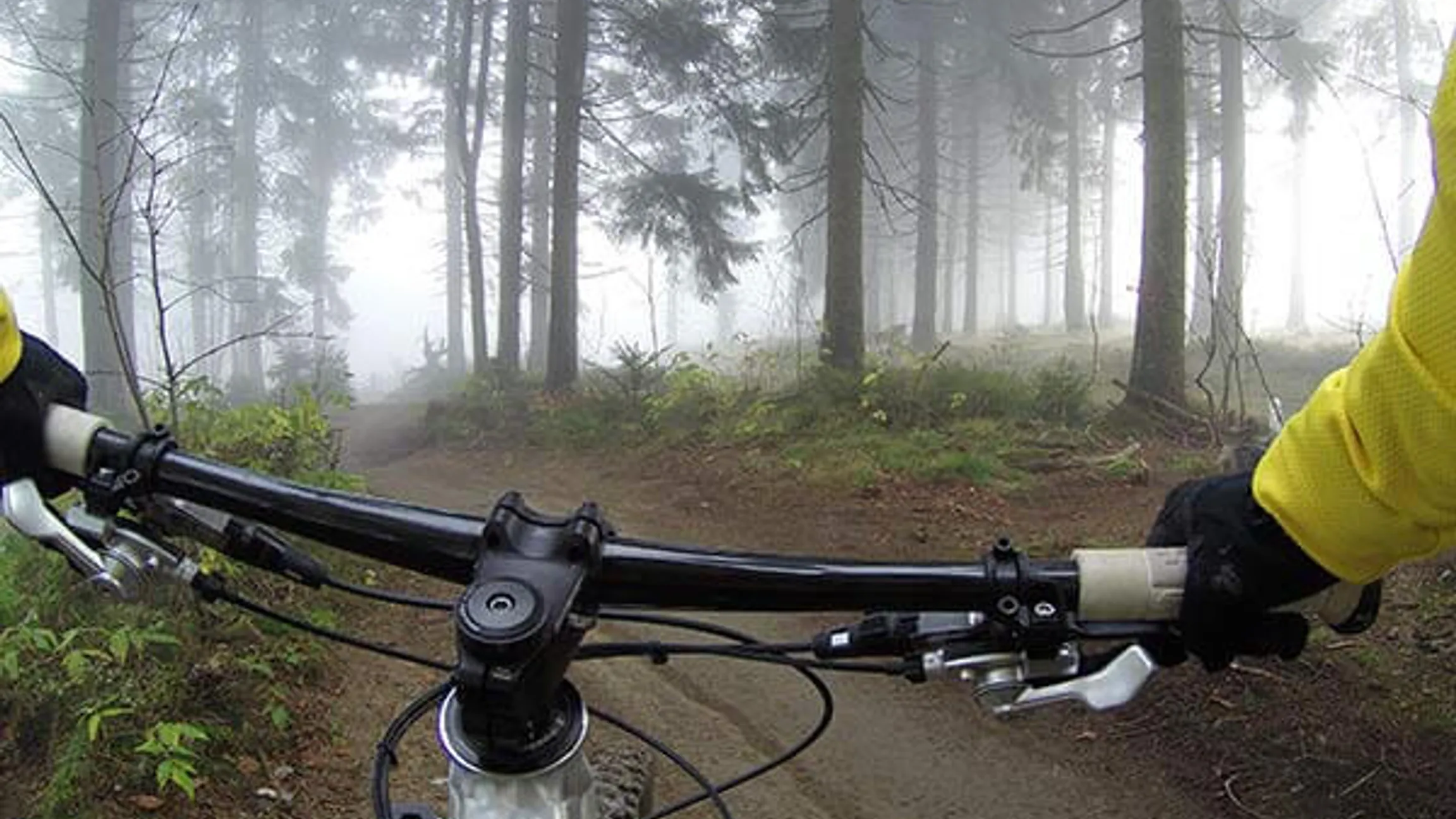 Cross-Duathlon