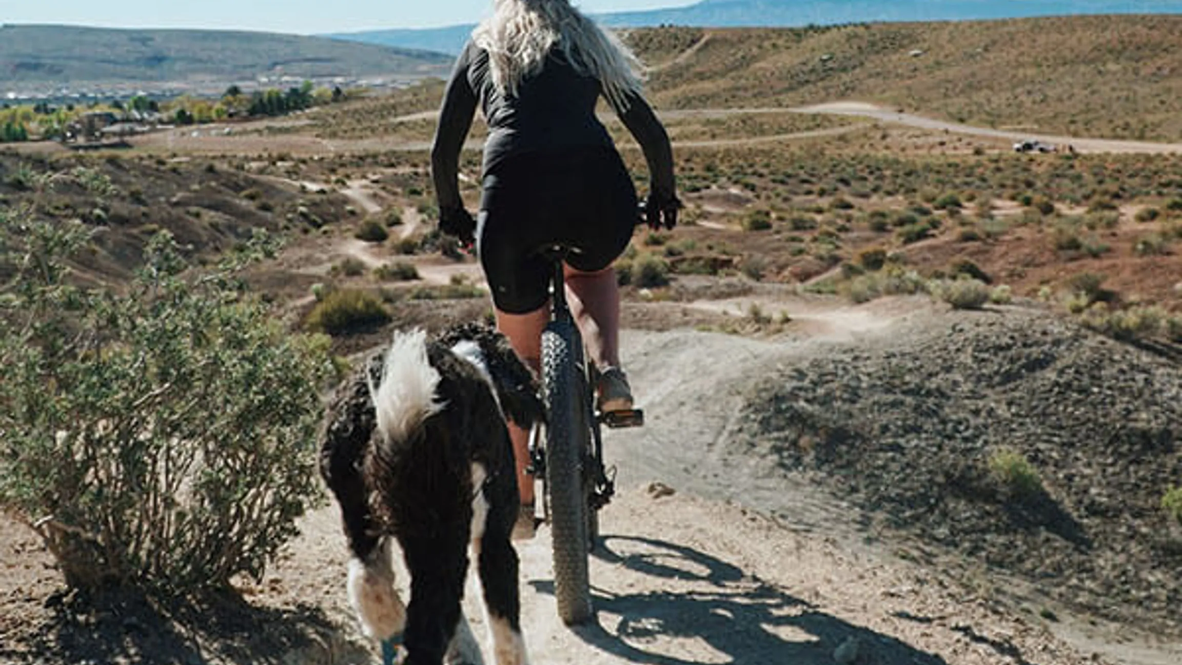 Bikejöring