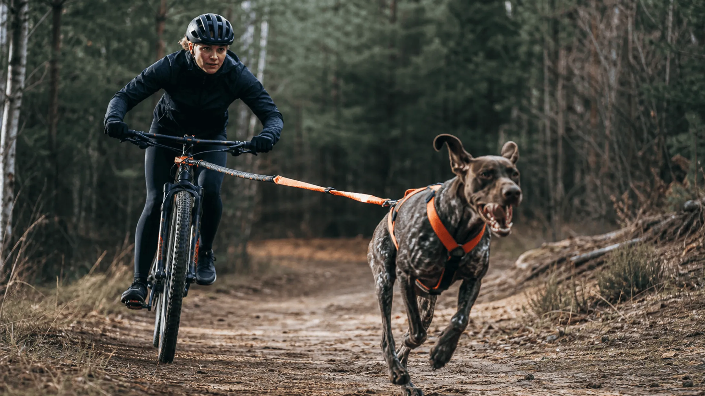 Bikejöring