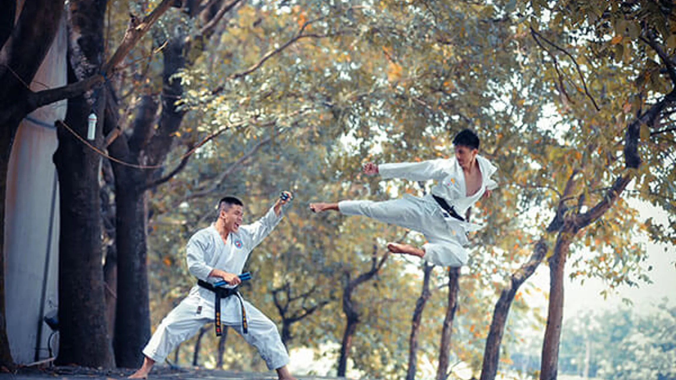 Karate