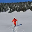 Christian Negura